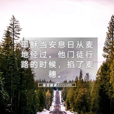 Picture 05 - 马 可 福 音 2:23 CUVS - 耶 稣 当 安 息 日 从 麦 地 经 过 。 - Bible Verse Picture