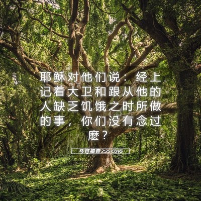 Picture 05 - 马 可 福 音 2:25 CUVS - 耶 稣 对 他 们 说 ： 经 上 记 着 大 - Bible Verse Picture