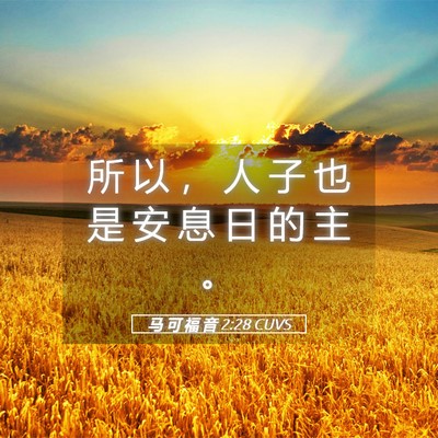 Picture 05 - 马 可 福 音 2:28 CUVS - 所 以 ， 人 子 也 是 安 息 日 的 主 - Bible Verse Picture