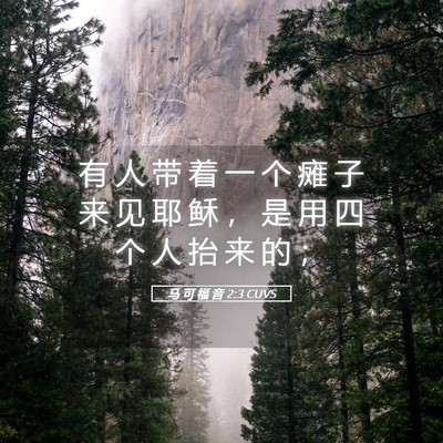 Picture 05 - 马 可 福 音 2:3 CUVS - 有 人 带 着 一 个 瘫 子 来 见 耶 稣 - Bible Verse Picture