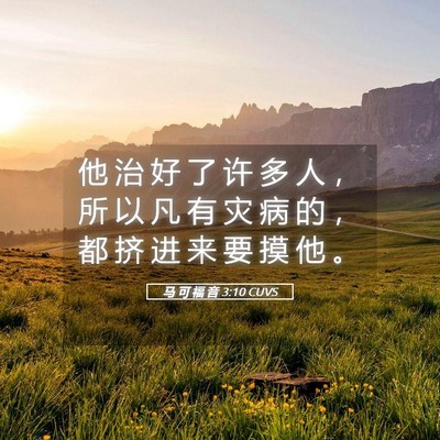 Picture 05 - 马 可 福 音 3:10 CUVS - 他 治 好 了 许 多 人 ， 所 以 凡 有 - Bible Verse Picture