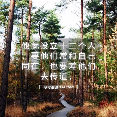 Picture 05 - 马 可 福 音 3:14 CUVS - 他 就 设 立 十 二 个 人 ， 要 他 们 - Bible Verse Picture