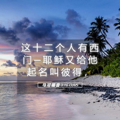 Picture 05 - 马 可 福 音 3:16 CUVS - 这 十 二 个 人 有 西 门 ─ 耶 稣 又 - Bible Verse Picture