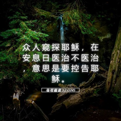 Picture 05 - 马 可 福 音 3:2 CUVS - 众 人 窥 探 耶 稣 ， 在 安 息 日 医 - Bible Verse Picture
