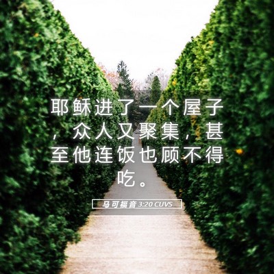 Picture 05 - 马 可 福 音 3:20 CUVS - 耶 稣 进 了 一 个 屋 子 ， 众 人 又 - Bible Verse Picture