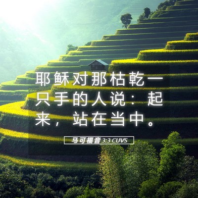 Picture 05 - 马 可 福 音 3:3 CUVS - 耶 稣 对 那 枯 乾 一 只 手 的 人 说 - Bible Verse Picture
