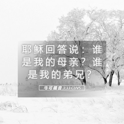 Picture 05 - 马 可 福 音 3:33 CUVS - 耶 稣 回 答 说 ： 谁 是 我 的 母 亲 - Bible Verse Picture
