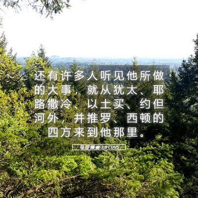 Picture 05 - 马 可 福 音 3:8 CUVS - 还 有 许 多 人 听 见 他 所 做 的 大 - Bible Verse Picture