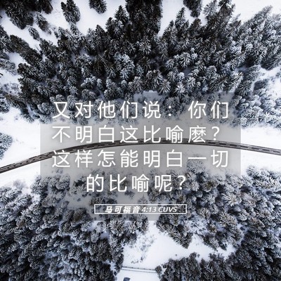 Picture 05 - 马 可 福 音 4:13 CUVS - 又 对 他 们 说 ： 你 们 不 明 白 这 - Bible Verse Picture
