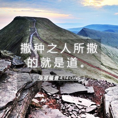 Picture 05 - 马 可 福 音 4:14 CUVS - 撒 种 之 人 所 撒 的 就 是 道 - Bible Verse Picture