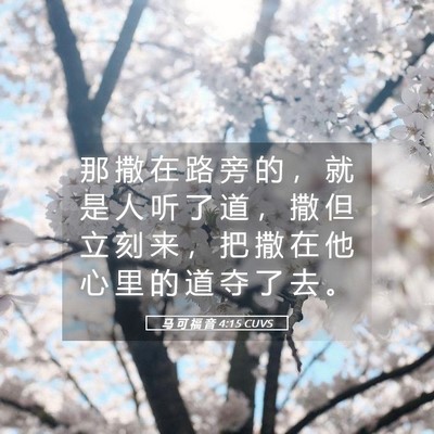 Picture 05 - 马 可 福 音 4:15 CUVS - 那 撒 在 路 旁 的 ， 就 是 人 听 了 - Bible Verse Picture