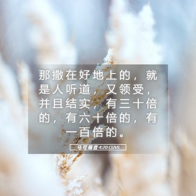 Picture 05 - 马 可 福 音 4:20 CUVS - 那 撒 在 好 地 上 的 ， 就 是 人 听 - Bible Verse Picture