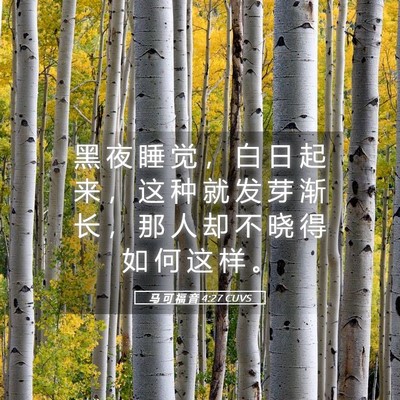 Picture 05 - 马 可 福 音 4:27 CUVS - 黑 夜 睡 觉 ， 白 日 起 来 ， 这 种 - Bible Verse Picture