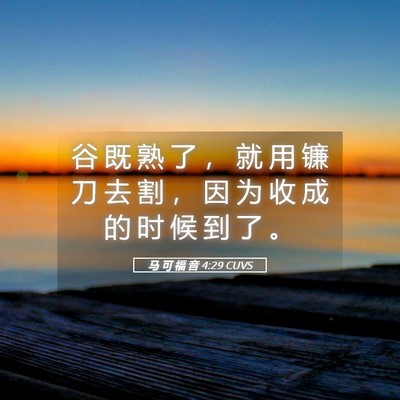 Picture 05 - 马 可 福 音 4:29 CUVS - 谷 既 熟 了 ， 就 用 镰 刀 去 割 ， - Bible Verse Picture