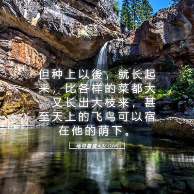 Picture 05 - 马 可 福 音 4:32 CUVS - 但 种 上 以 後 ， 就 长 起 来 ， 比 - Bible Verse Picture