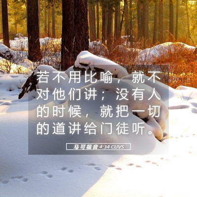 Picture 05 - 马 可 福 音 4:34 CUVS - 若 不 用 比 喻 ， 就 不 对 他 们 讲 - Bible Verse Picture