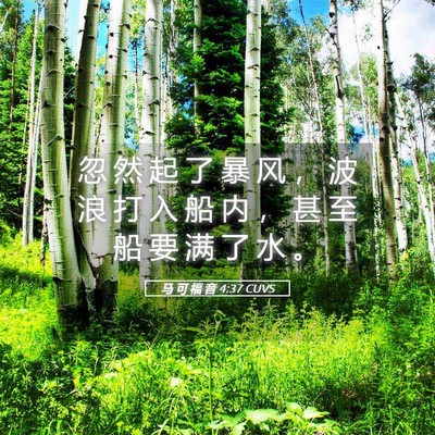 Picture 05 - 马 可 福 音 4:37 CUVS - 忽 然 起 了 暴 风 ， 波 浪 打 入 船 - Bible Verse Picture