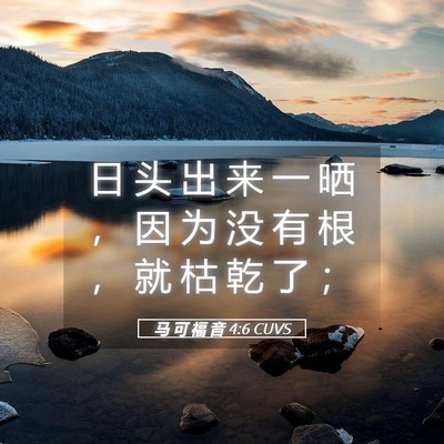 Picture 05 - 马 可 福 音 4:6 CUVS - 日 头 出 来 一 晒 ， 因 为 没 有 根 - Bible Verse Picture