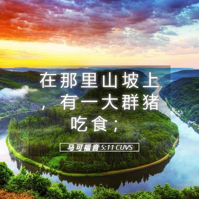 Picture 05 - 马 可 福 音 5:11 CUVS - 在 那 里 山 坡 上 ， 有 一 大 群 猪 - Bible Verse Picture
