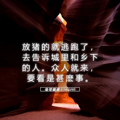 Picture 05 - 马 可 福 音 5:14 CUVS - 放 猪 的 就 逃 跑 了 ， 去 告 诉 城 - Bible Verse Picture