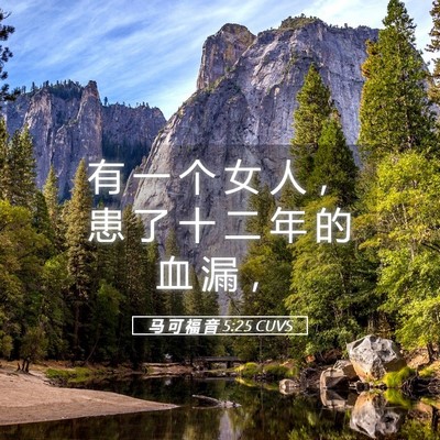 Picture 05 - 马 可 福 音 5:25 CUVS - 有 一 个 女 人 ， 患 了 十 二 年 的 - Bible Verse Picture