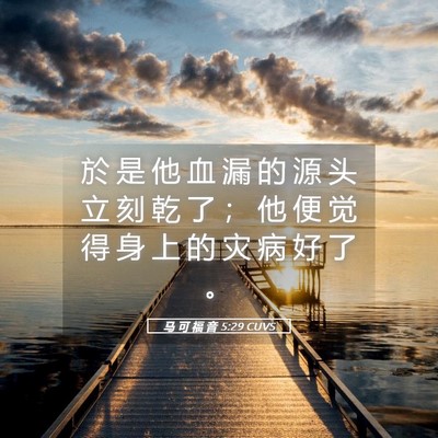 Picture 05 - 马 可 福 音 5:29 CUVS - 於 是 他 血 漏 的 源 头 立 刻 乾 了 - Bible Verse Picture
