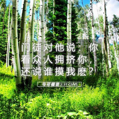 Picture 05 - 马 可 福 音 5:31 CUVS - 门 徒 对 他 说 ： 你 看 众 人 拥 挤 - Bible Verse Picture