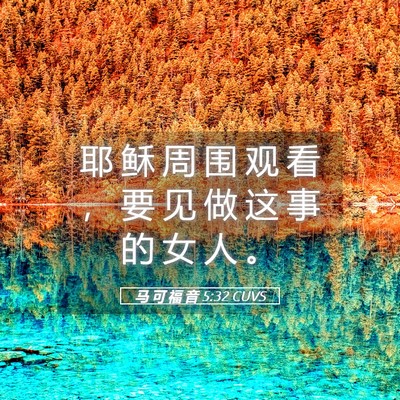 Picture 05 - 马 可 福 音 5:32 CUVS - 耶 稣 周 围 观 看 ， 要 见 做 这 事 - Bible Verse Picture
