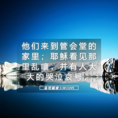 Picture 05 - 马 可 福 音 5:38 CUVS - 他 们 来 到 管 会 堂 的 家 里 ； 耶 - Bible Verse Picture