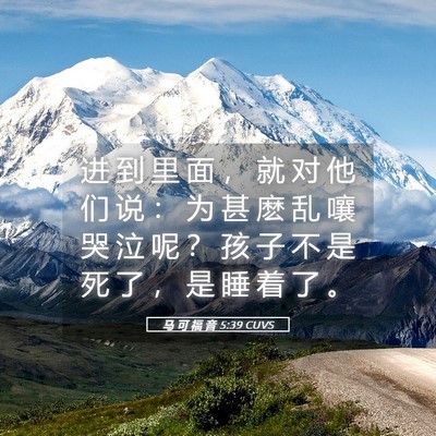 Picture 05 - 马 可 福 音 5:39 CUVS - 进 到 里 面 ， 就 对 他 们 说 ： 为 - Bible Verse Picture