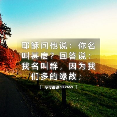 Picture 05 - 马 可 福 音 5:9 CUVS - 耶 稣 问 他 说 ： 你 名 叫 甚 麽 ？ - Bible Verse Picture
