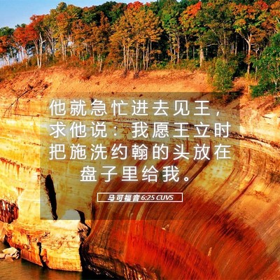 Picture 05 - 马 可 福 音 6:25 CUVS - 他 就 急 忙 进 去 见 王 ， 求 他 说 - Bible Verse Picture