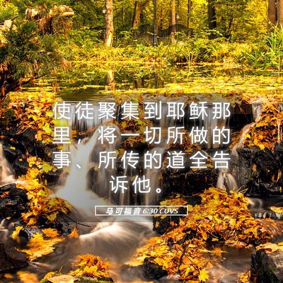 Picture 05 - 马 可 福 音 6:30 CUVS - 使 徒 聚 集 到 耶 稣 那 里 ， 将 一 - Bible Verse Picture