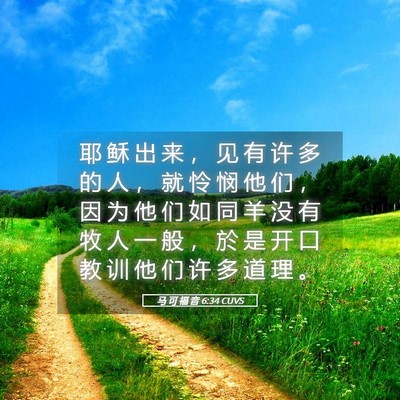 Picture 05 - 马 可 福 音 6:34 CUVS - 耶 稣 出 来 ， 见 有 许 多 的 人 ， - Bible Verse Picture