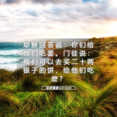 Picture 05 - 马 可 福 音 6:37 CUVS - 耶 稣 回 答 说 ： 你 们 给 他 们 吃 - Bible Verse Picture