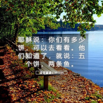 Picture 05 - 马 可 福 音 6:38 CUVS - 耶 稣 说 ： 你 们 有 多 少 饼 ， 可 - Bible Verse Picture