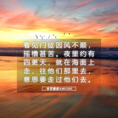 Picture 05 - 马 可 福 音 6:48 CUVS - 看 见 门 徒 因 风 不 顺 ， 摇 橹 甚 - Bible Verse Picture