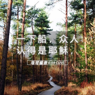 Picture 05 - 马 可 福 音 6:54 CUVS - 一 下 船 ， 众 人 认 得 是 耶 稣 - Bible Verse Picture