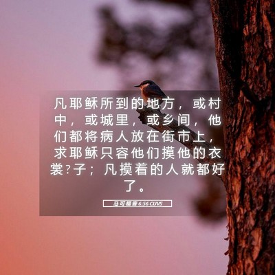 Picture 05 - 马 可 福 音 6:56 CUVS - 凡 耶 稣 所 到 的 地 方 ， 或 村 中 - Bible Verse Picture