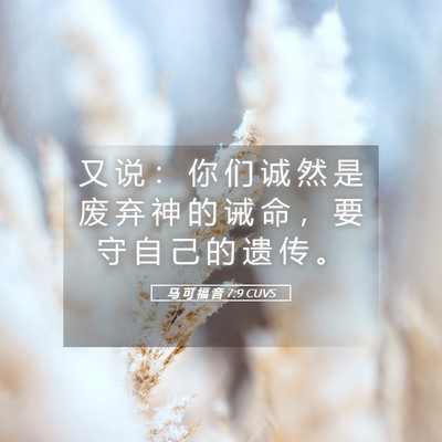 Picture 05 - 马 可 福 音 7:9 CUVS - 又 说 ： 你 们 诚 然 是 废 弃 神 的 - Bible Verse Picture