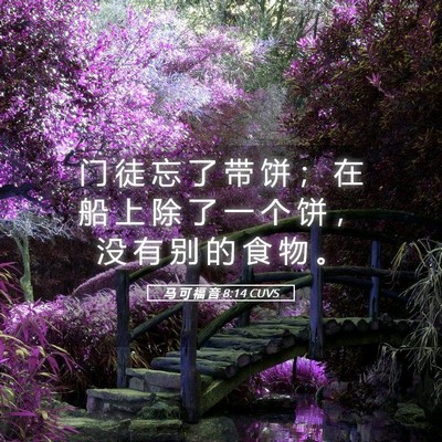 Picture 05 - 马 可 福 音 8:14 CUVS - 门 徒 忘 了 带 饼 ； 在 船 上 除 了 - Bible Verse Picture