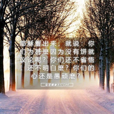 Picture 05 - 马 可 福 音 8:17 CUVS - 耶 稣 看 出 来 ， 就 说 ： 你 们 为 - Bible Verse Picture