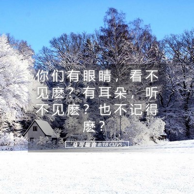 Picture 05 - 马 可 福 音 8:18 CUVS - 你 们 有 眼 睛 ， 看 不 见 麽 ？ 有 - Bible Verse Picture