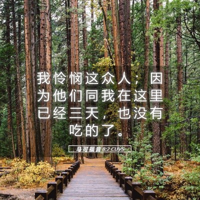 Picture 05 - 马 可 福 音 8:2 CUVS - 我 怜 悯 这 众 人 ； 因 为 他 们 同 - Bible Verse Picture