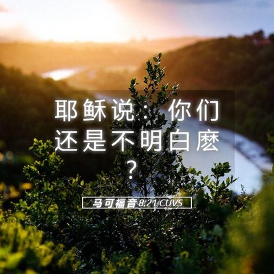 Picture 05 - 马 可 福 音 8:21 CUVS - 耶 稣 说 ： 你 们 还 是 不 明 白 麽 - Bible Verse Picture