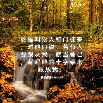 Picture 05 - 马 可 福 音 8:34 CUVS - 於 是 叫 众 人 和 门 徒 来 ， 对 他 - Bible Verse Picture