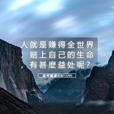 Picture 05 - 马 可 福 音 8:36 CUVS - 人 就 是 赚 得 全 世 界 ， 赔 上 自 - Bible Verse Picture
