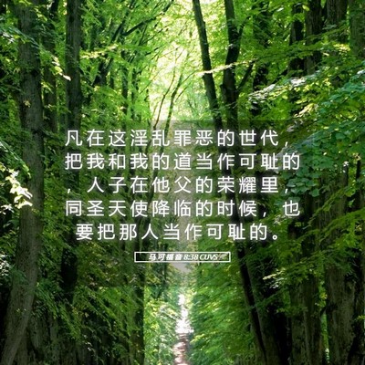 Picture 05 - 马 可 福 音 8:38 CUVS - 凡 在 这 淫 乱 罪 恶 的 世 代 ， 把 - Bible Verse Picture
