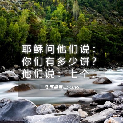 Picture 05 - 马 可 福 音 8:5 CUVS - 耶 稣 问 他 们 说 ： 你 们 有 多 少 - Bible Verse Picture
