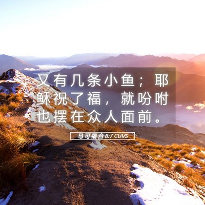 Picture 05 - 马 可 福 音 8:7 CUVS - 又 有 几 条 小 鱼 ； 耶 稣 祝 了 福 - Bible Verse Picture